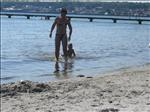 Sweden 2007-08 277